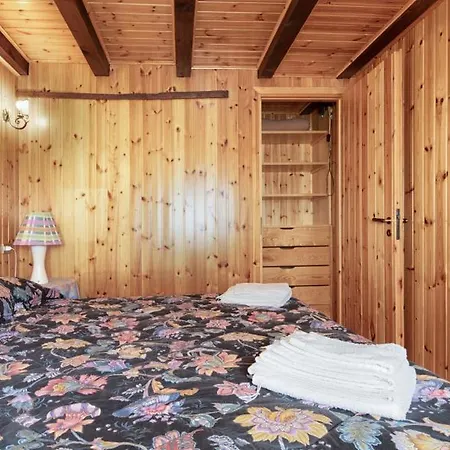 5' Bus To The Slopes, Panoramic Chalet *